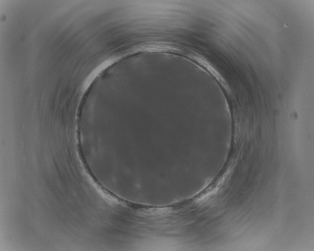 X0000076450853200610202333