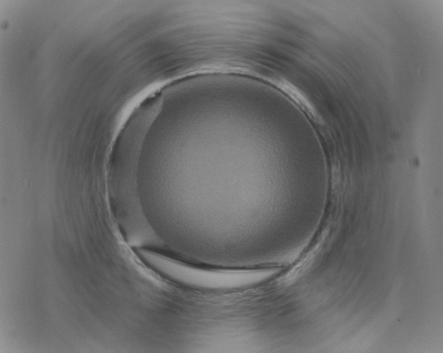 X0000076450854200610202333