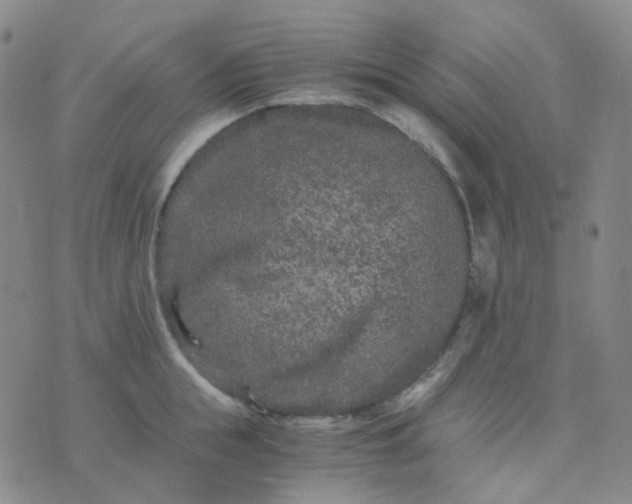 X0000076450855200610202333