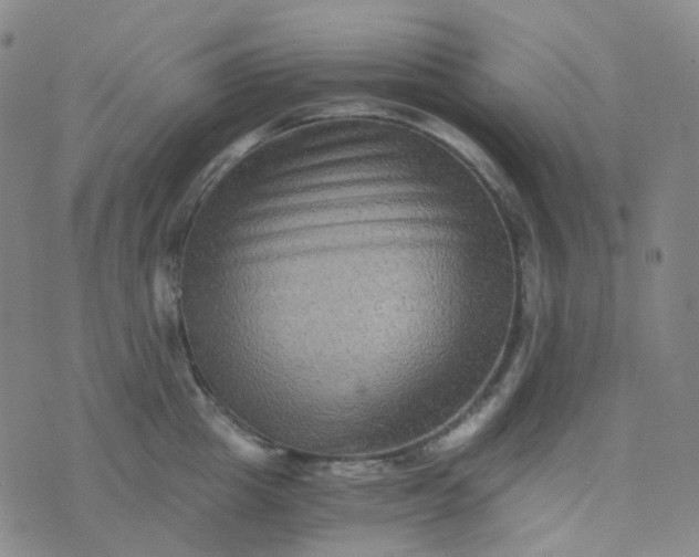 X0000076450857200610202333