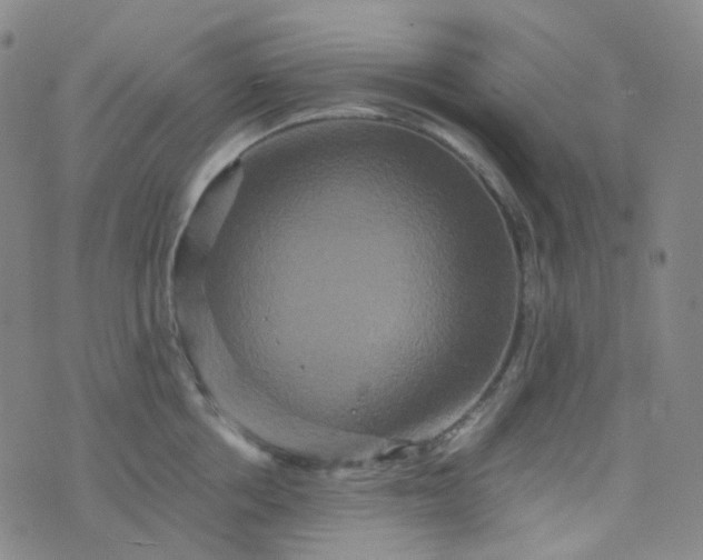 X0000076450858200610202333