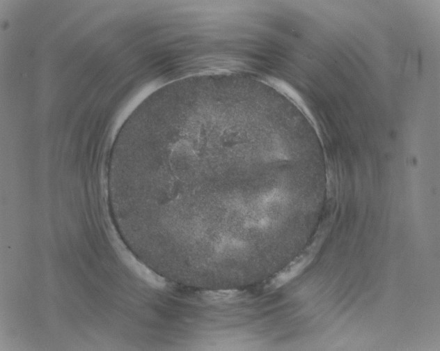 X0000076450859200610202333