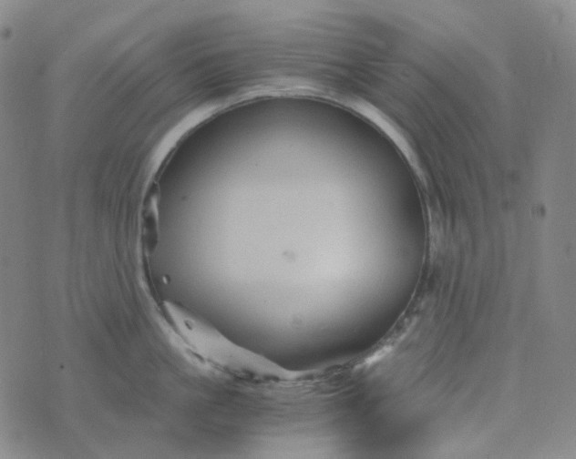 X0000076450861200610202333