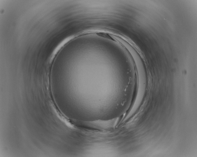 X0000076450862200610202333