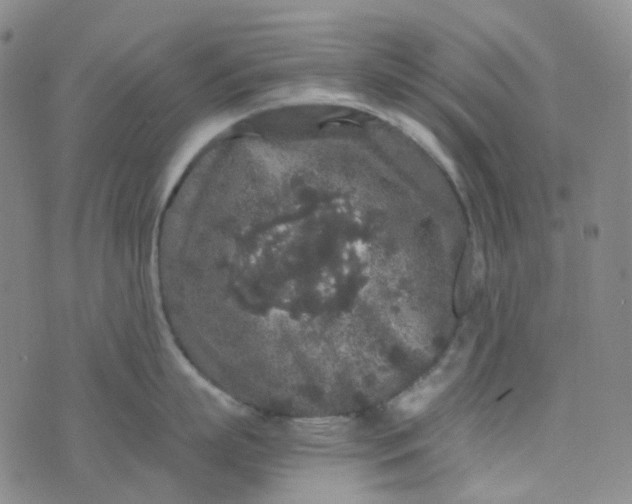 X0000076450863200610202333