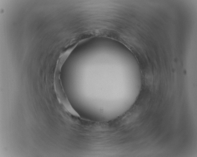 X0000076450865200610202332