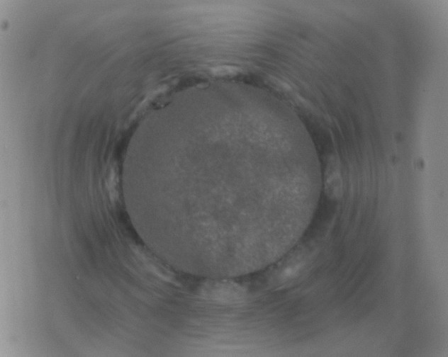 X0000076450866200610202332