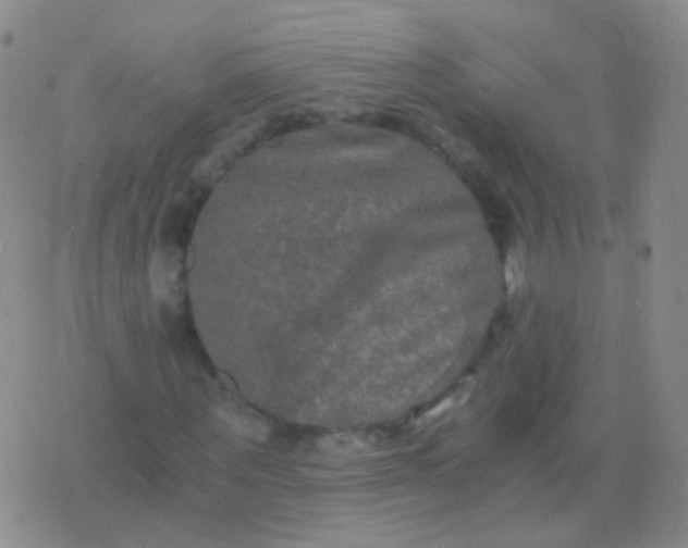 X0000076450867200610202332