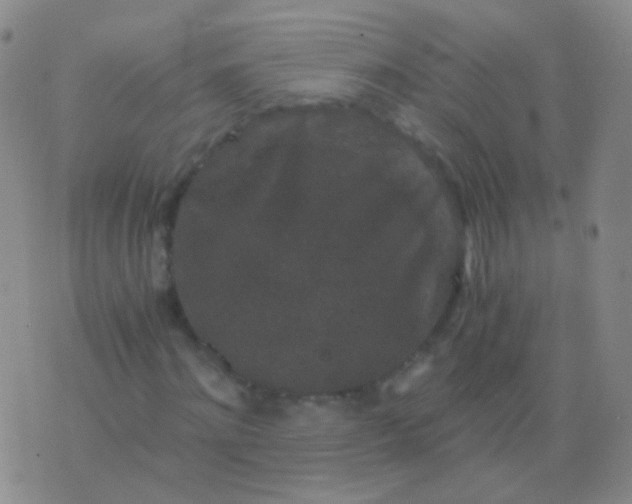 X0000076450868200610202332