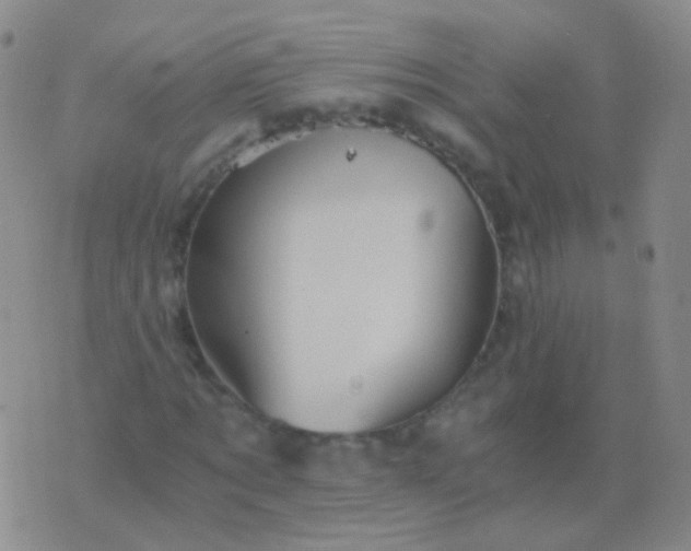 X0000076450869200610202332