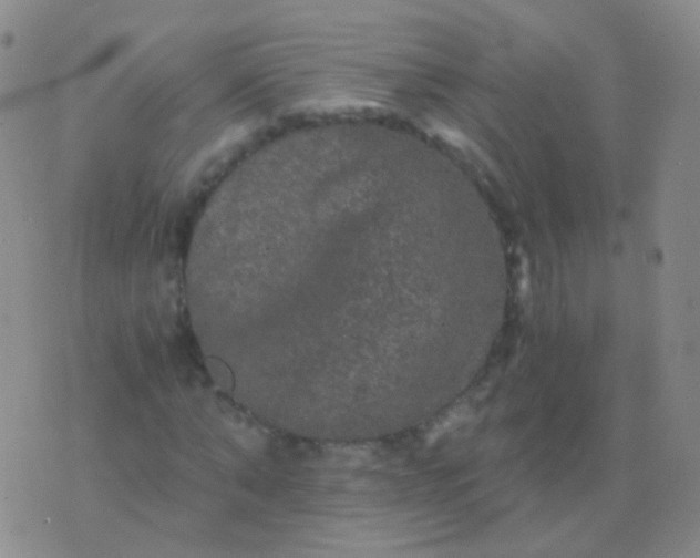 X0000076450870200610202332