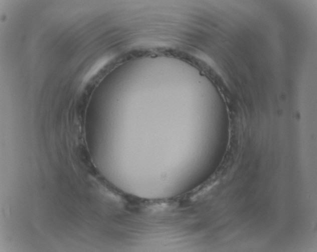 X0000076450871200610202332