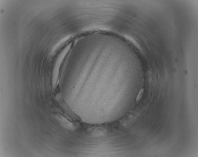 X0000076450872200610202332