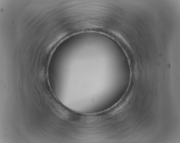 X0000076450873200610202332