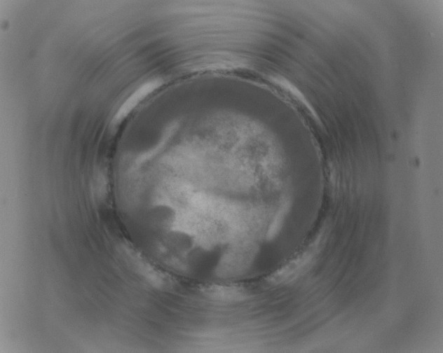 X0000076450874200610202332