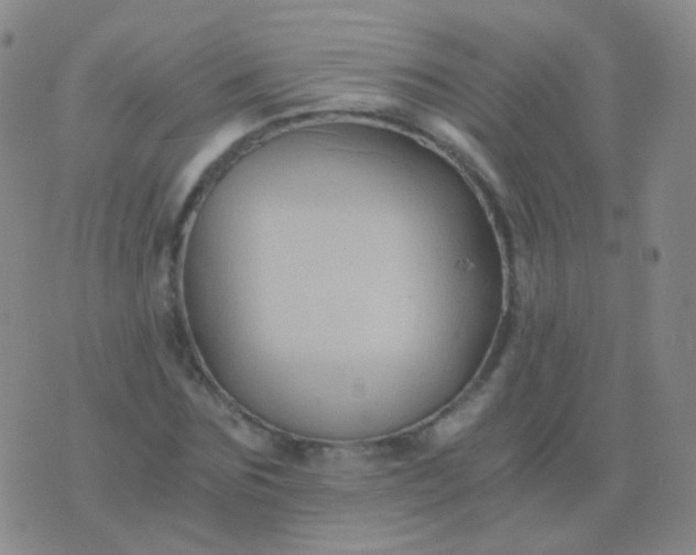 X0000076450875200610202332