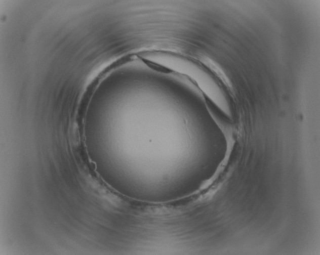 X0000076450876200610202332