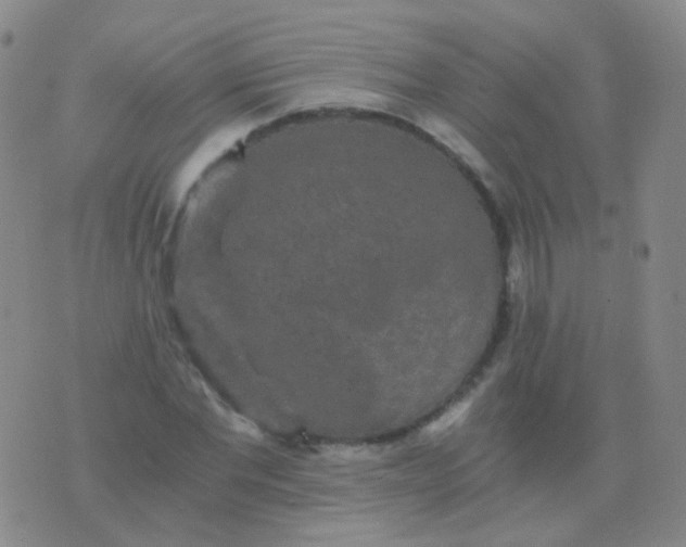 X0000076450877200610202332