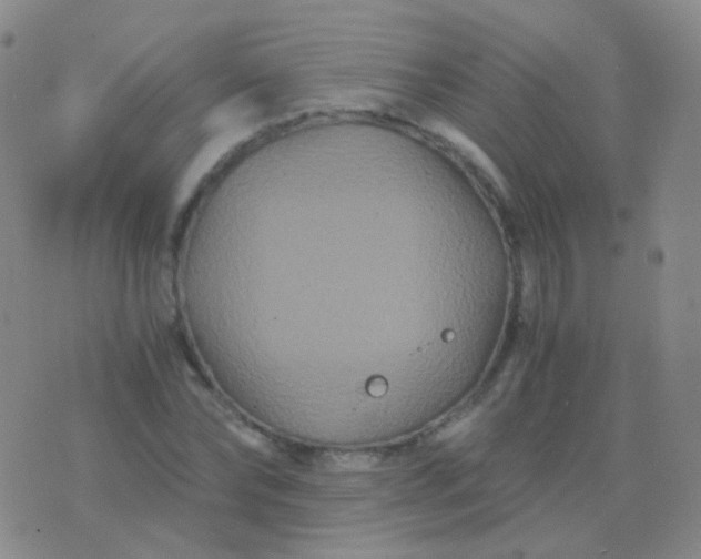 X0000076450878200610202332