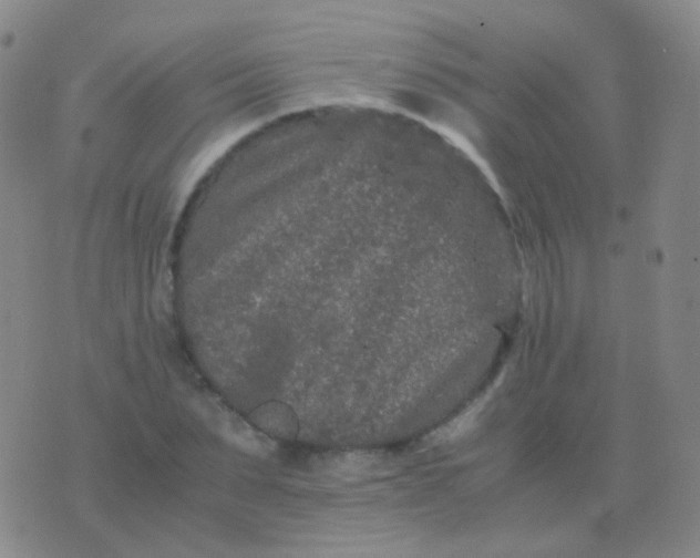 X0000076450879200610202332