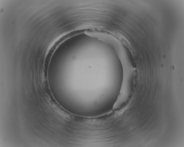 X0000076450880200610202332