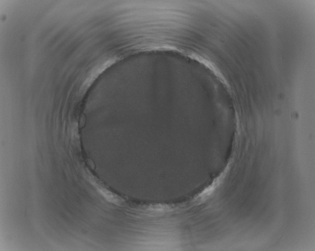 X0000076450881200610202332