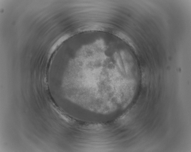 X0000076450882200610202332