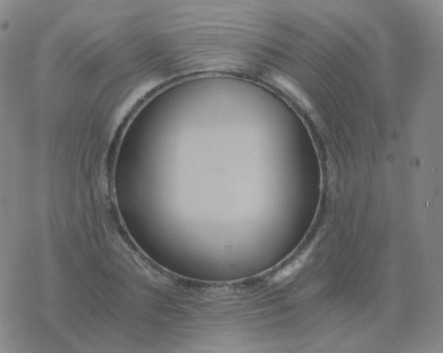 X0000076450883200610202332