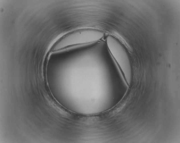 X0000076450884200610202332