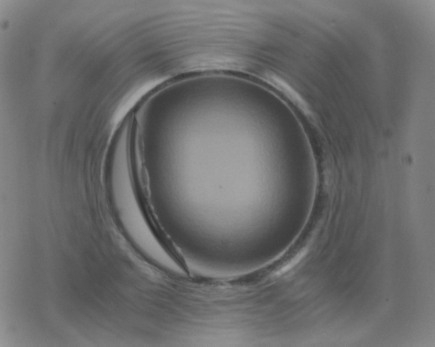 X0000076450885200610202332