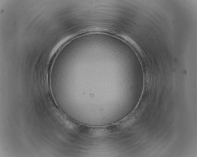 X0000076450886200610202332