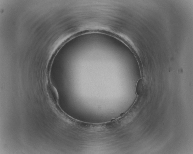 X0000076450887200610202332