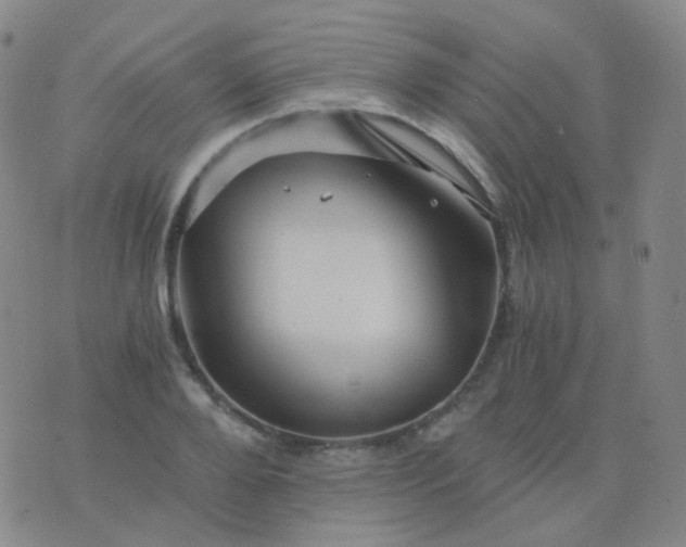 X0000076450888200610202332