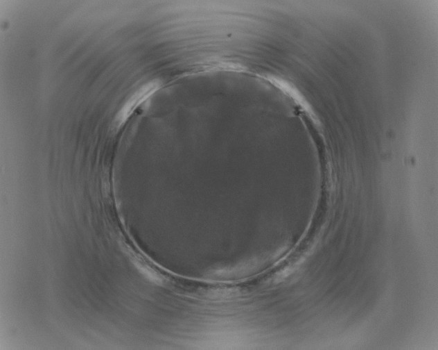 X0000076450889200610202332