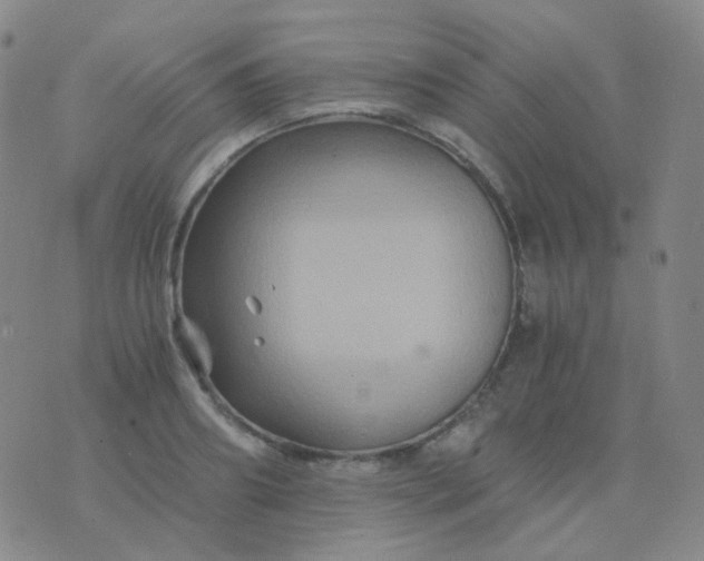 X0000076450890200610202332