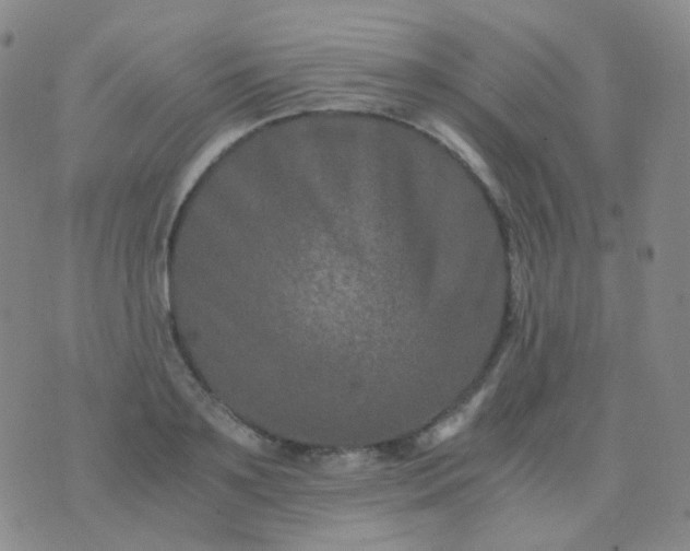 X0000076450891200610202332