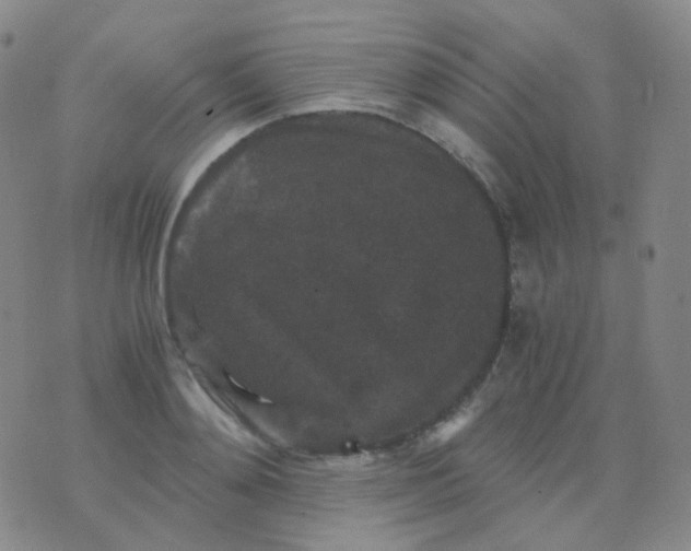 X0000076450892200610202332