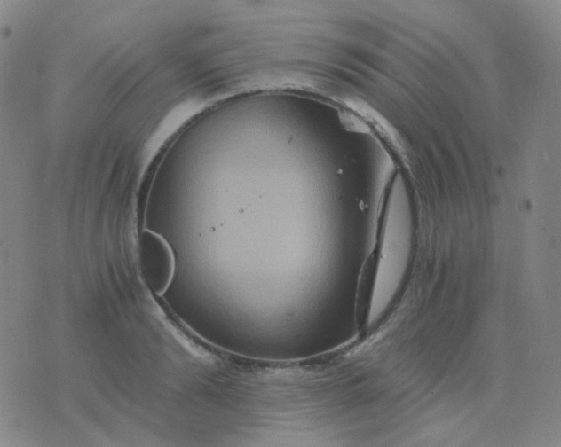 X0000076450894200610202332