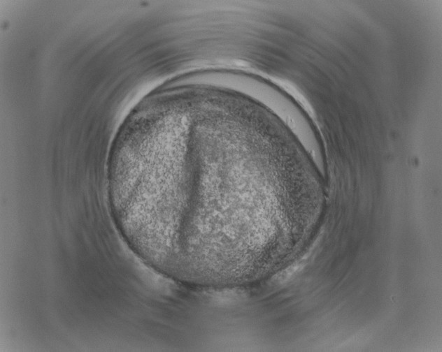 X0000076450895200610202332