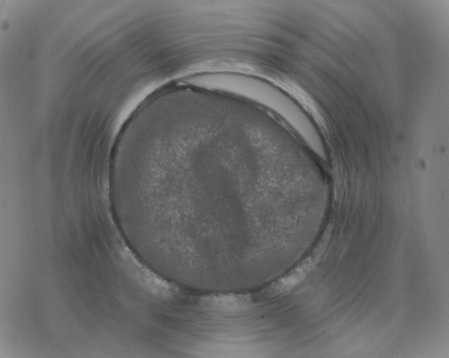 X0000076450896200610202332