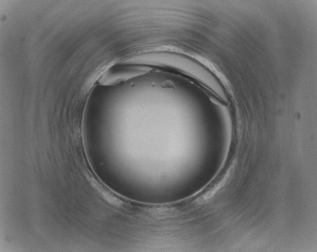 X0000076450897200610202332