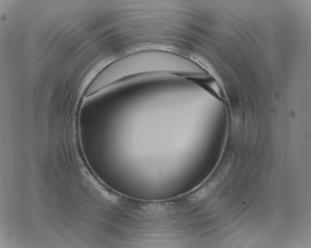 X0000076450898200610202332