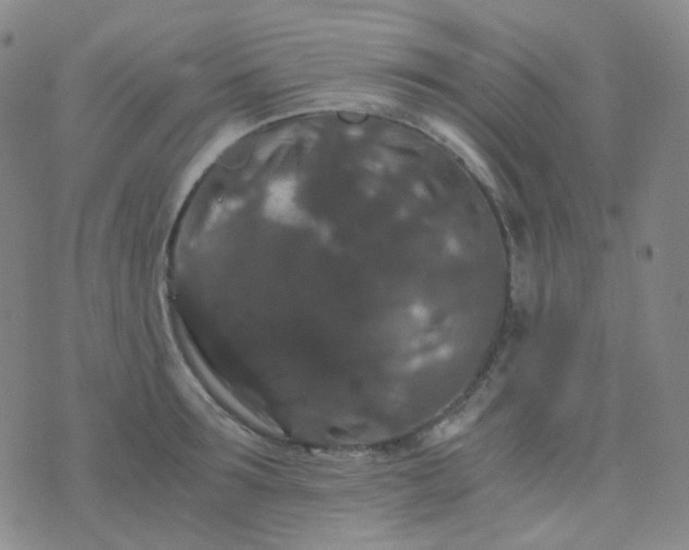 X0000076450899200610202332