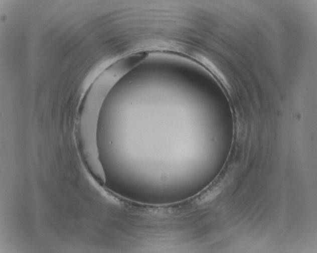 X0000076450901200610202332