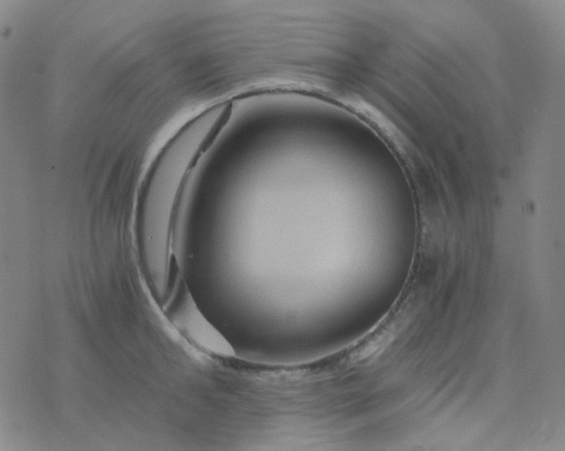 X0000076450902200610202332