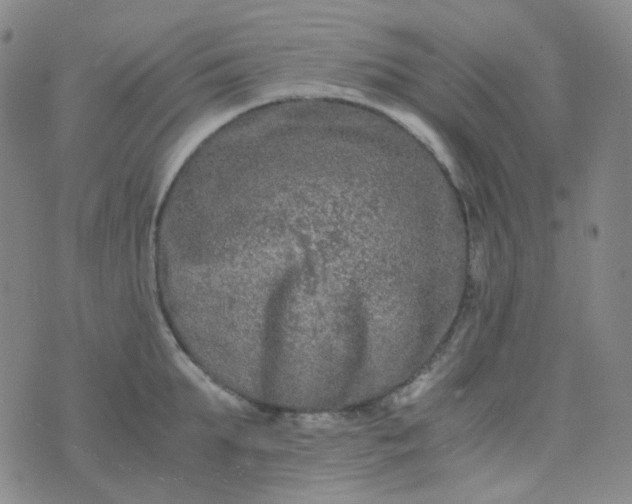 X0000076450903200610202332