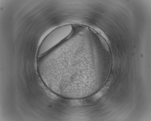 X0000076450904200610202332