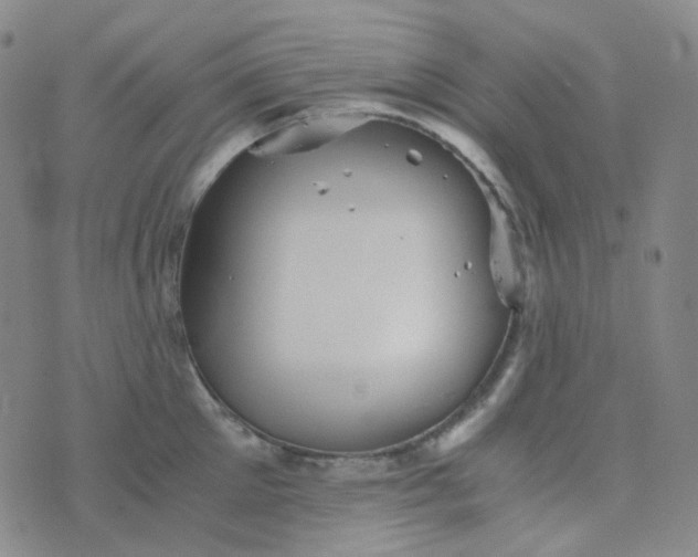 X0000076450905200610202332