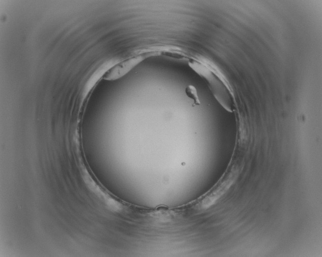 X0000076450906200610202332