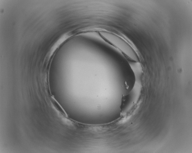 X0000076450909200610202332